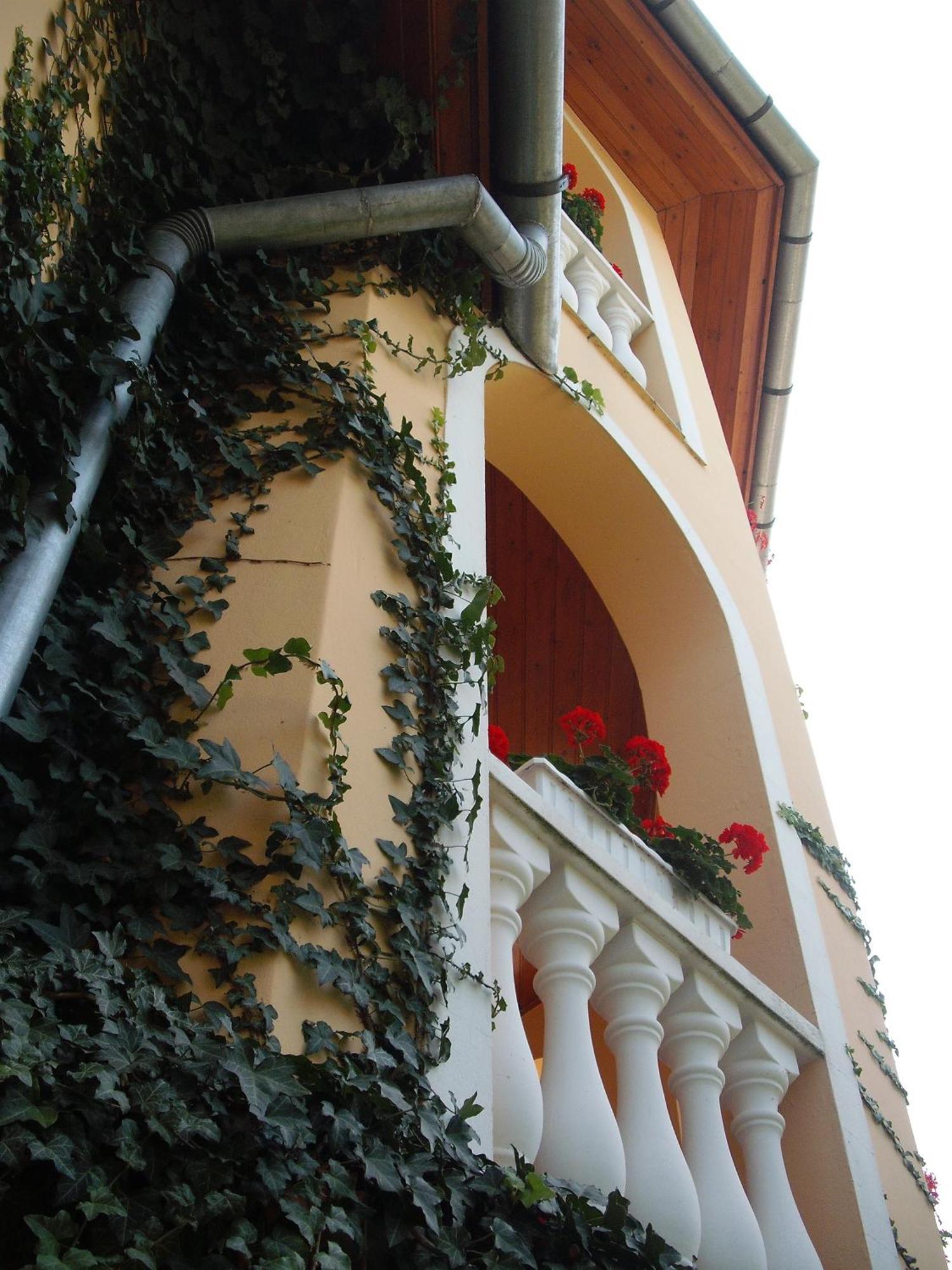 Ilona Kis Kastely Panzio Hotel Keszthely Luaran gambar